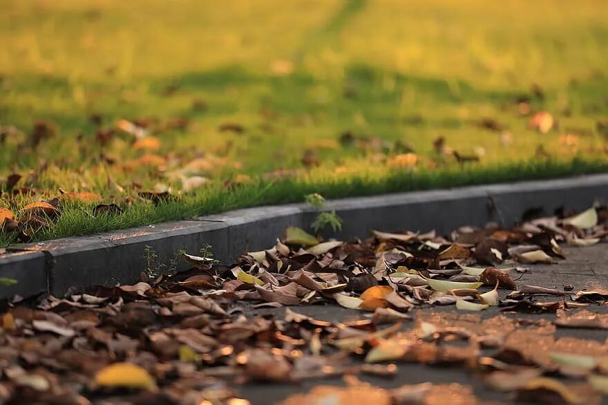Старая листва в окружении. Blurred photo. Листва и почва. Обгоняя нас бежали по мостовой высохшие листья. Листья на дороге.