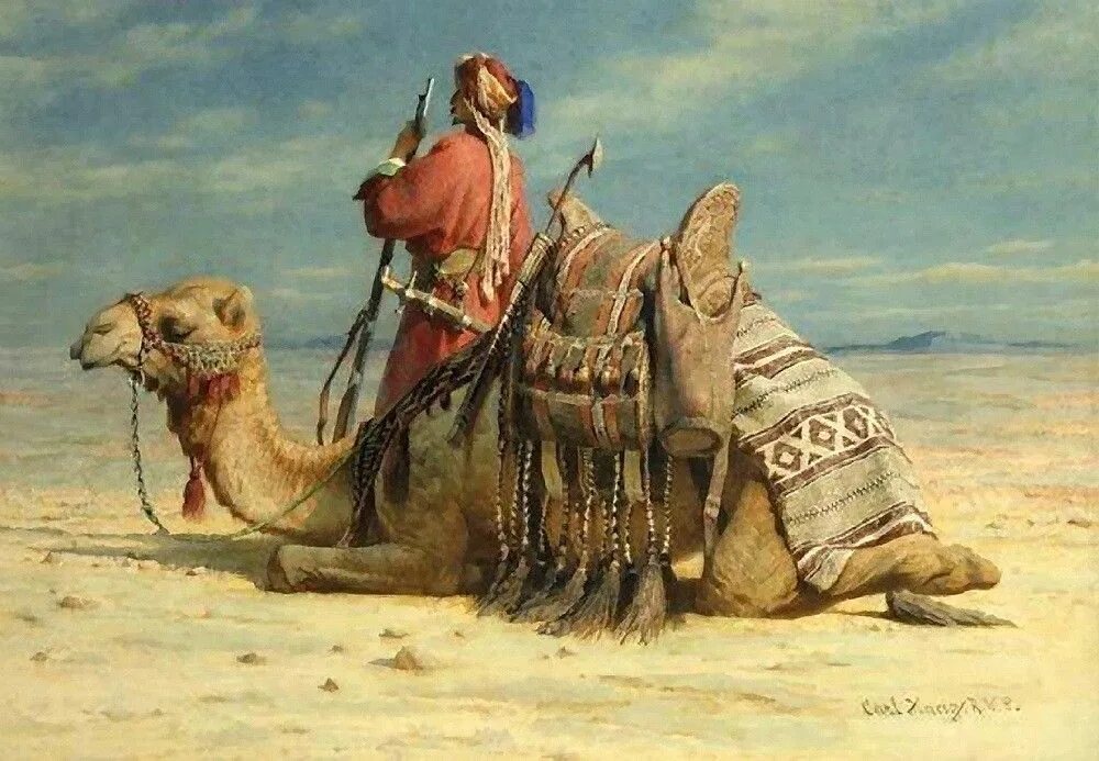 Карлукский тюрки. Кочевники вода. Карлуки огузы кипчаки. Василий васильевич верещагин верблюд. Животноводство в пустыне.