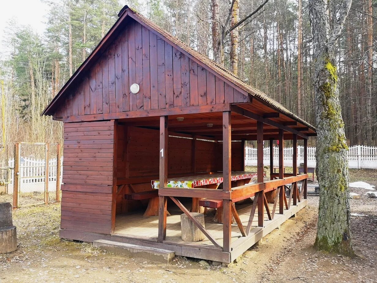 Сарайчик в аренду. Снять сарай. Страшный сарай. Сарай в бурьяне. Снять сарай.