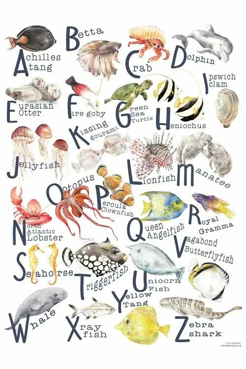 Английский алфавит Fish. Алфавит море. Рыба с уодлка Alphabet Lore. A-Z animals Alphabet.