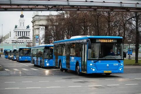 Автобус воронок мишнево
