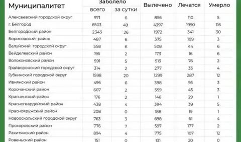 Коронавирус в белгородской