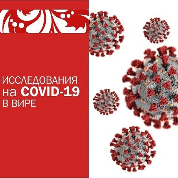 Вира центр нефтеюганск. Вира центр нефтеюганск 11. вира центр нефтеюганск официальный сайт. вира центр нефтеюганск результаты.