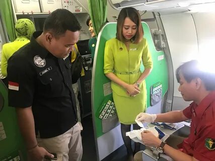 Pilot dan pramugari