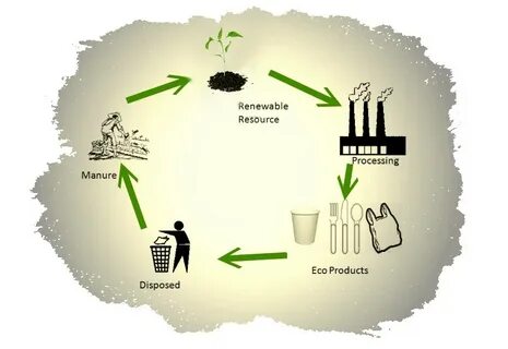 The environment a lot