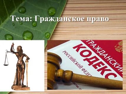 Гражданское право в жизни каждого человека