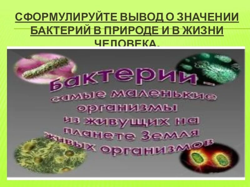 Сформулируйте вывод о влиянии различных