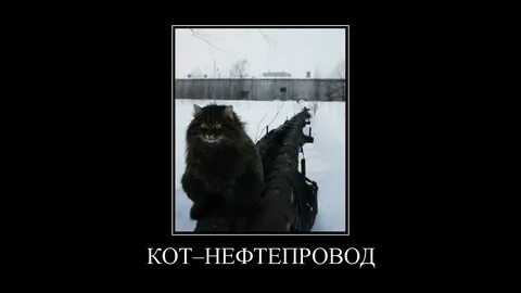 Шутки сибири