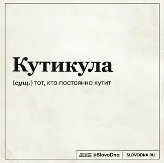 Слово дна книга