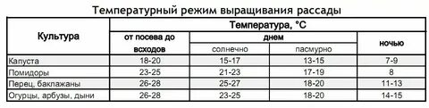 Какая температура почвы в теплице