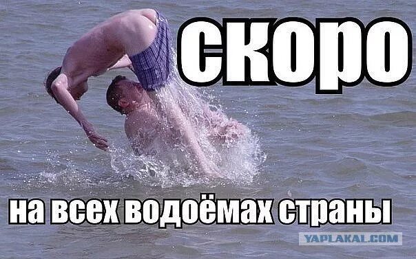 Мемы (не смешно) DeklaN Дзен