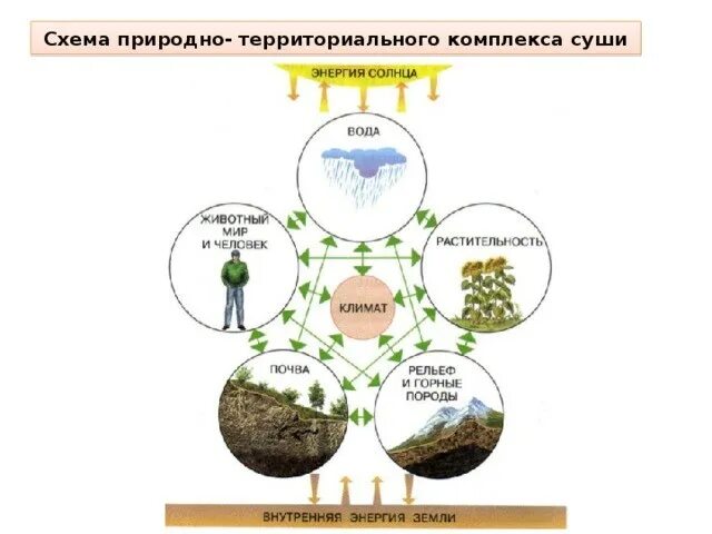 Птк бывают. Схема природно-территориального комплекса суши. Схема взаимосвязей в природном комплексе. Схема взаимосвязи компонентов географической оболочки.. Взаимосвязь компонентов природного комплекса схема.