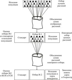 Применение массового отбора