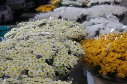 Цветочный рынок в краснодаре