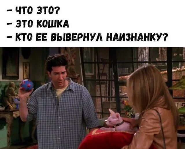 Вывернуть наизнанку. Кошка наизнанку. это не кошка друзья. не кошка.