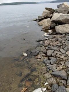 Байкал пресное водохранилище