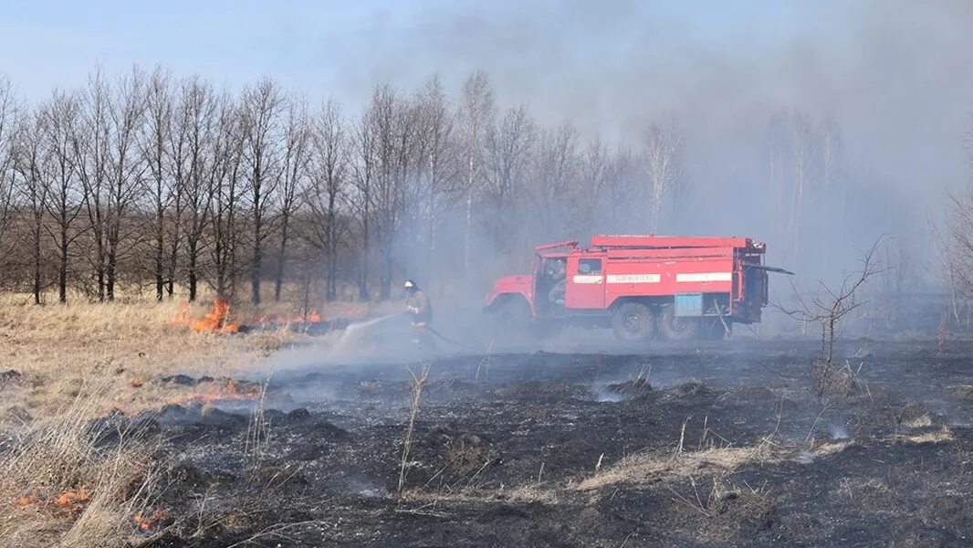 Погода кривское на 10. Церковь покрова пресвятой богородицы курганская область. Погода кривское на 10. Кривское фото. Деревня кривское.