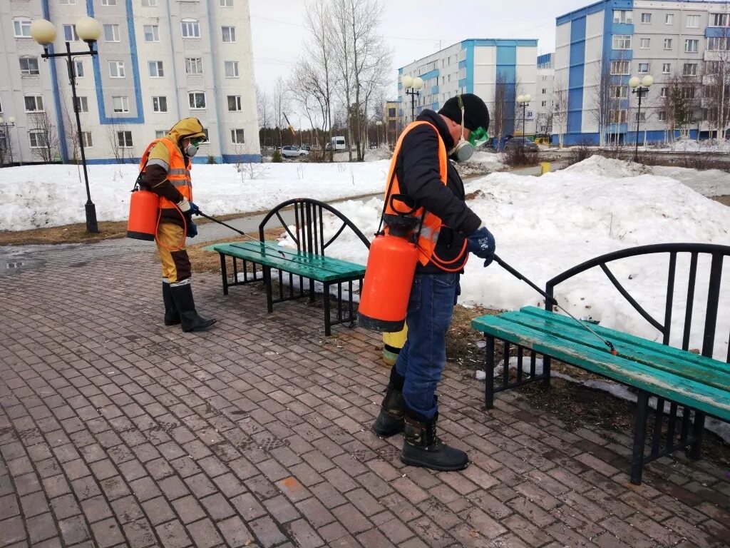 Работа в когалыме свежие. Коммунальщики у жилого комплекса. Комунальщик и пинсинерка. Обработку на улице проводим в. Уборка улиц в Тирасполе.