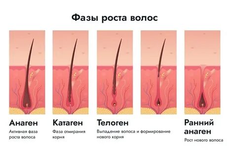 Катаген
