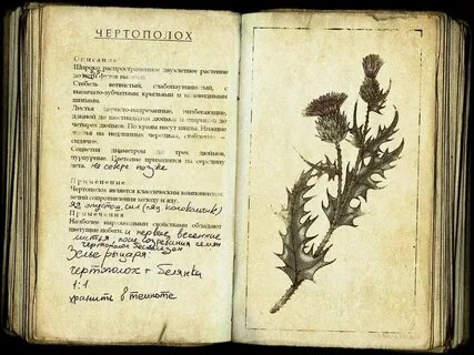 Описание растений книга