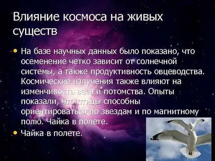 Влияние космоса на жизнь на земле