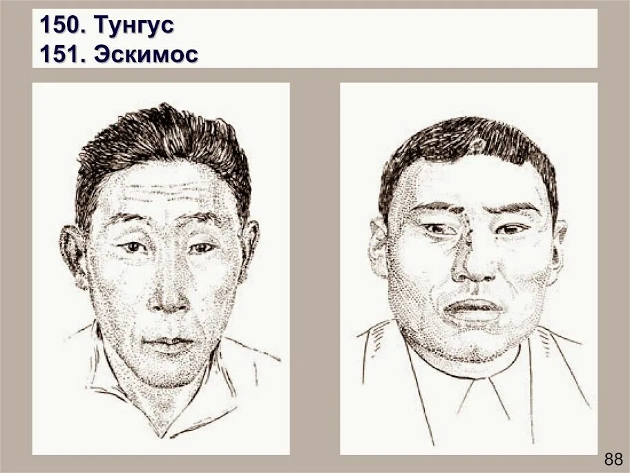 Антропология ответ 3. Антропологический тип. азиатскому антропологическому тип. антропологические признаки внешности. японцы антропология.