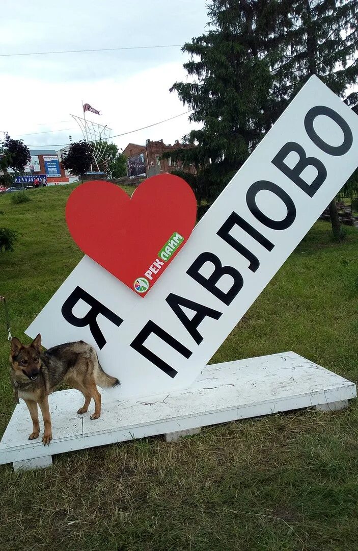 Подслушано в павлове вконтакте. Подслушано в Павлово. Подслушано в Палово. Подслушано Павлово ВКОНТАКТЕ. Подслушано в Павловской.