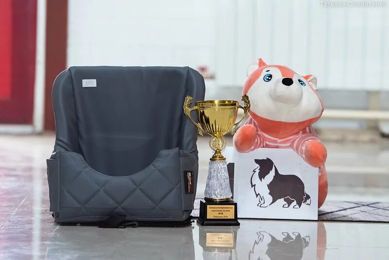 Чемпион породы. Bob bos. Bob bos. Alex vellutini frederic fred. Джереми боб это мы.