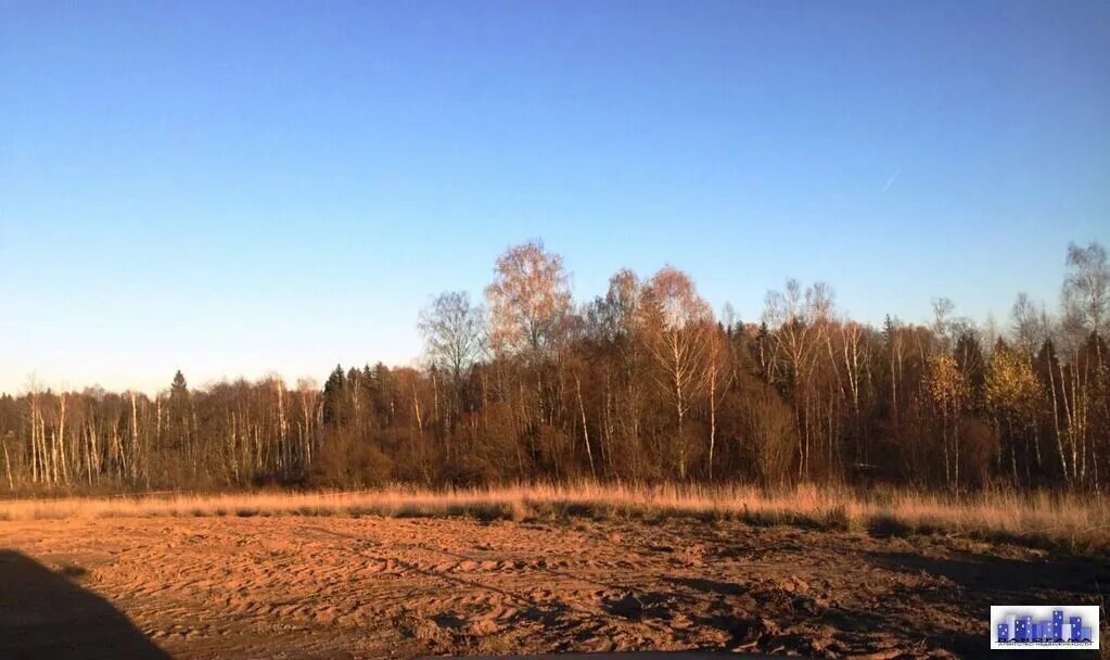Земля в д нова. Д новая солнечногорский район. Голоперово волоколамский район база. Земля в д нова. Родионовка московская область.