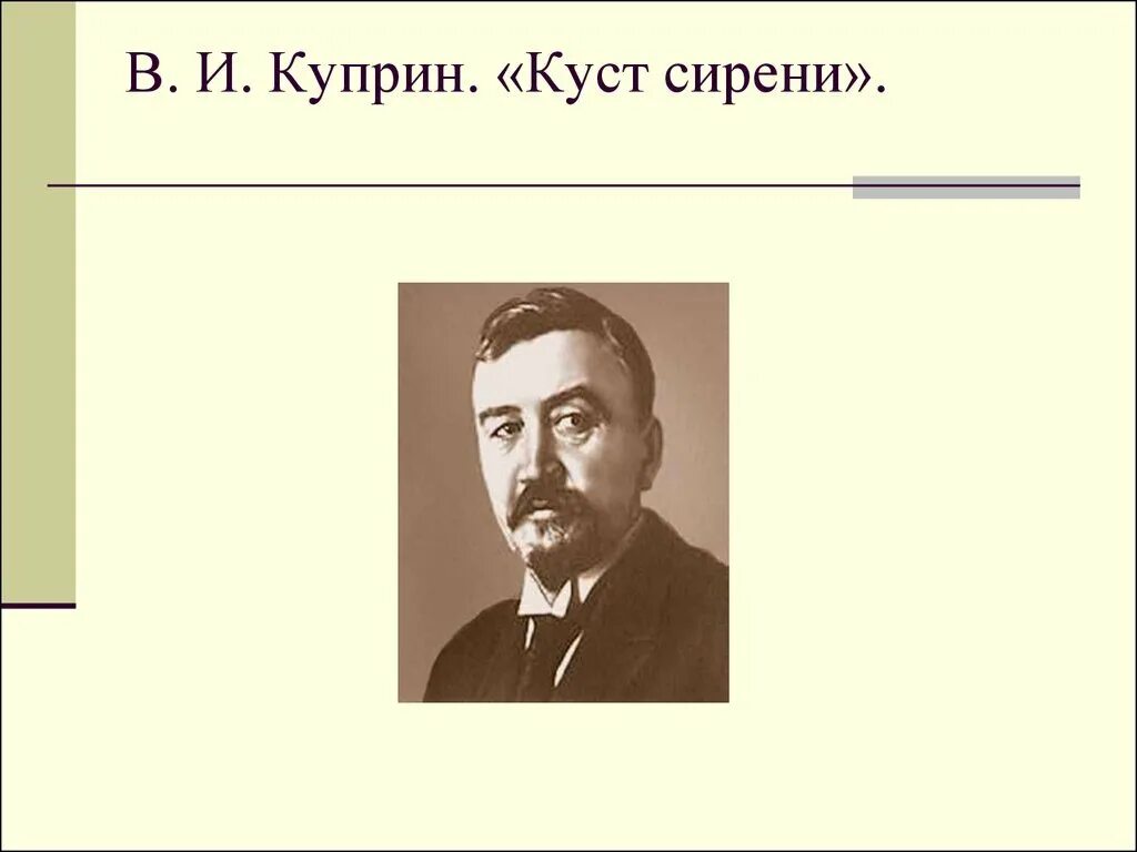 Куст сирени Куприна. Куприн. Куст сирени Куприн проект. Куприн куст сирени иллюстрации к рассказу.