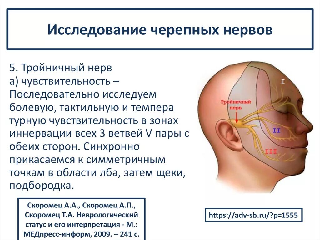 Исследования двигательной части тройничного нерва. Исследование чувствительности тройничного нерва. 5 Нерв тройничного нерва. Тройничный черепно мозговой нерв.