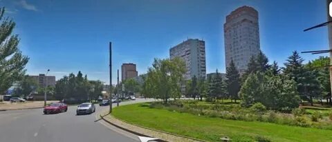 Бул бул ростов