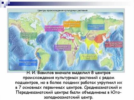 Центр происхождения растений сообщение