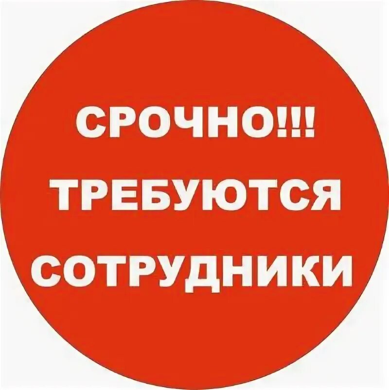 https://avatars.mds.yandex.net/i?id=dbaf22ae7bc7f5b86b906b32196dd43c_sr-5185864-images-thumbs&amp;n=13