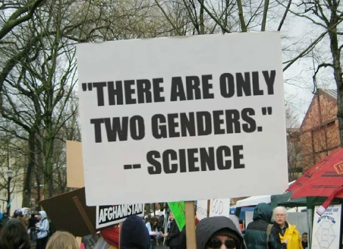 Only two. There are two genders. there are 2 genders. there is only 2 genders. there&#039;s only two genders.