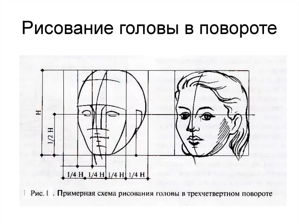 Пропорции лица человека рисунок. Пропорции женского лица в профиль и анфас. схема пропорции головы человека в профиль. схема головы человека в профиль и анфас. схема пропорций головы человека анфас.