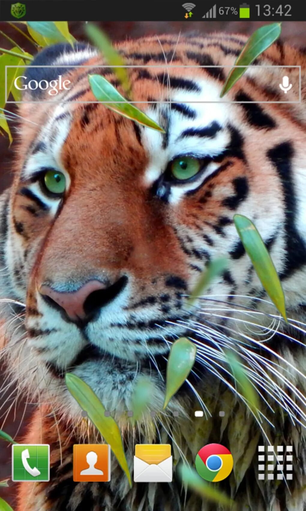 Tiger приложение