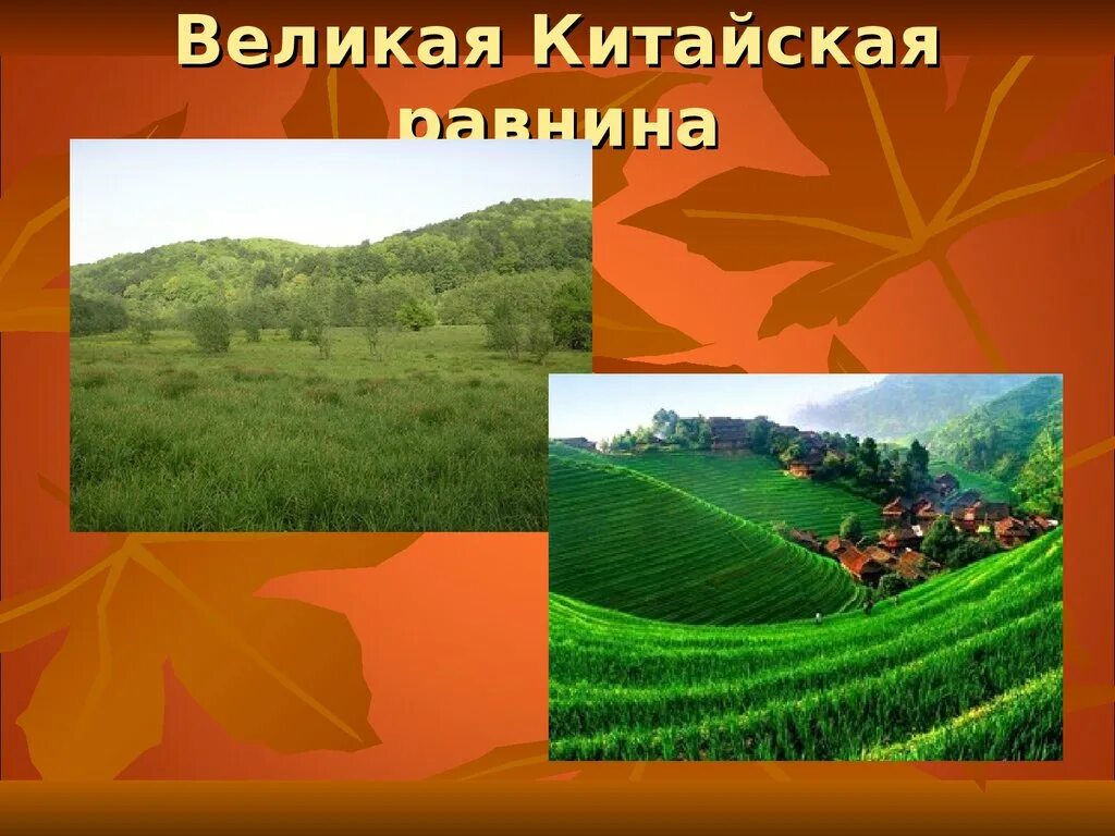Рисовые террасы Гуанси (Китай) - фотогалерея Rogotneva.Ru