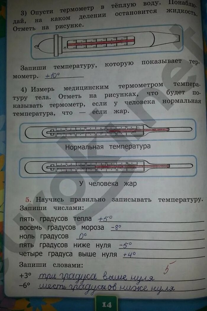Окружающий мир 2 класс рабочая тетрадь страница. Окружающий мир 2 класс рабочая тетрадь страница