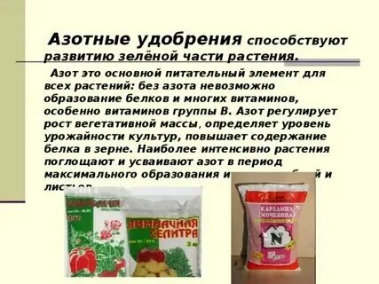 Какие удобрения входят в азот