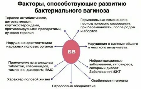 Можно ли заниматься интимной жизнью перед гинекологом