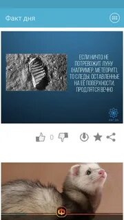 Факт сегодня