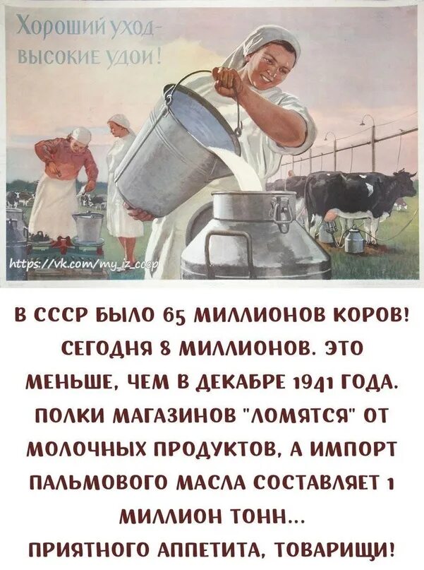 Коэффициент молочности коров. Средний годовой удой молока от одной коровы. Среднегодовой удой молока на 1 корову. Средняя удойность коровы в день. Распределение удоя по месяцам лактации.
