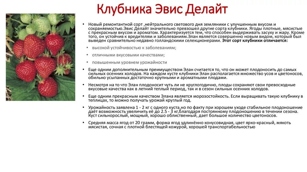 Что такое плодоношение