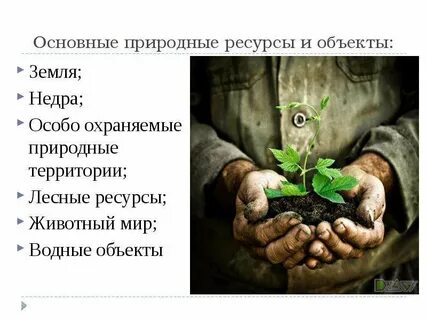 Собственность на недра