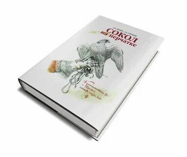 Сокол книга