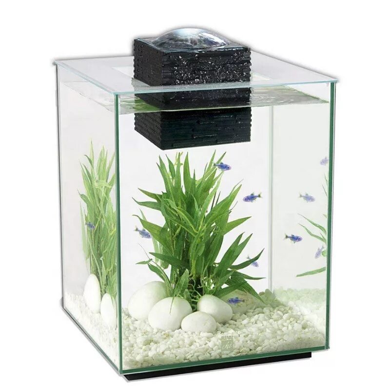 Аквариум 15 купить. Аквариум Hagen Fluval. Аквариум Fluval chi. Fluval Edge 23. Fluval e300.