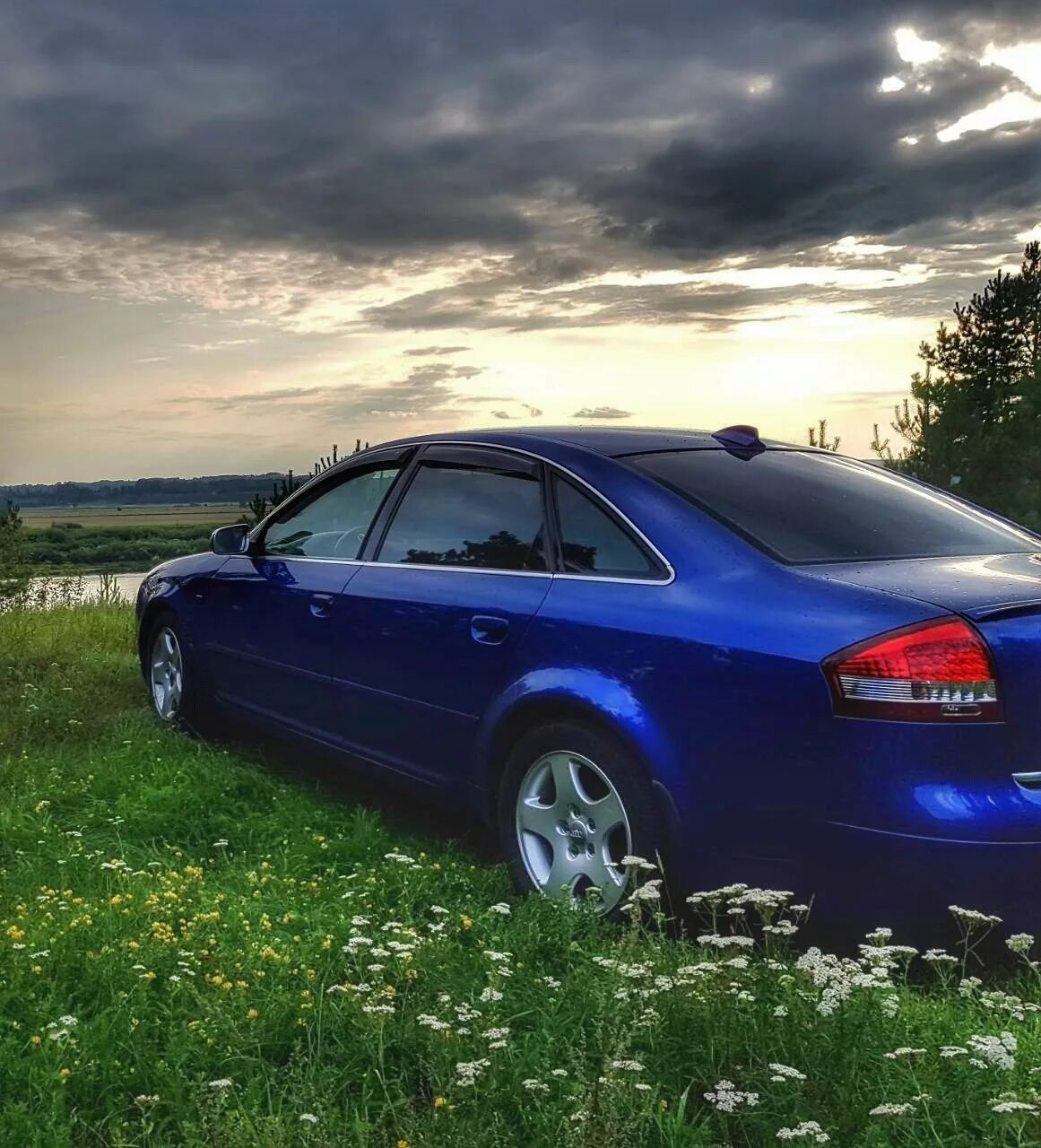 Сине 6. Audi a6 синяя. ауди а6 синего цвета. audi a6 c6 голубая. audi a6 c5 синяя.