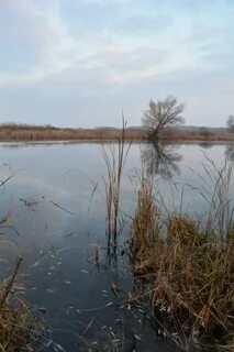 Рязанская область осадки